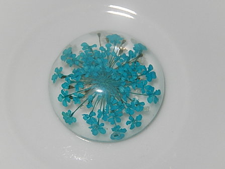 CBR101R25 Cabochon van kunsthars/resin met gedroogde bloemen rond 25 mm