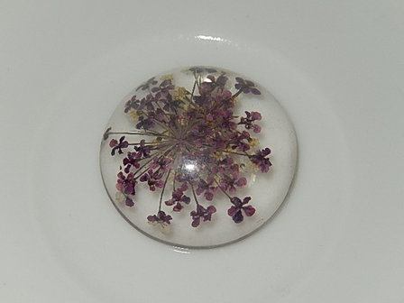 CBR103R25 Cabochon van kunsthars/resin met gedroogde bloemen rond 25 mm