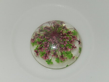 CBR104R25 Cabochon van kunsthars/resin met gedroogde bloemen rond 25 mm